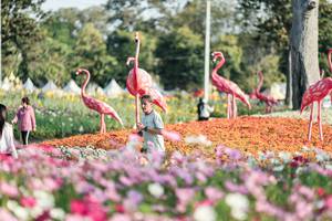 BIB: 
                            <button type="button" onclick="openModal(27344273)" class="btn btn-primary btn-sm float-right btn-popup" data-toggle="modal" data-target=".modal-high-quality">
                        <i class="fas fa-shopping-cart"></i> Add to Cart
                    </button>
                                            <button type="button" onclick="isThisMe(27344273, true)" class="btn btn-success btn-sm float-right btn-popup btn-isme hidden" data-toggle="tooltip" data-placement="bottom" title="นี่คือรูปของคุณใช่ไหม คลิกที่นี่เพื่อเอาเข้าอัลบั้ม">
                        <i class="fas fa-plus"></i> Add to album
                    </button>
                    <button type="button" onclick="isThisMe(27344273, false)" class="btn btn-warning btn-sm float-right btn-popup btn-isnotme hidden">
                        <i class="fas fa-ban"></i> Remove from album
                    </button>